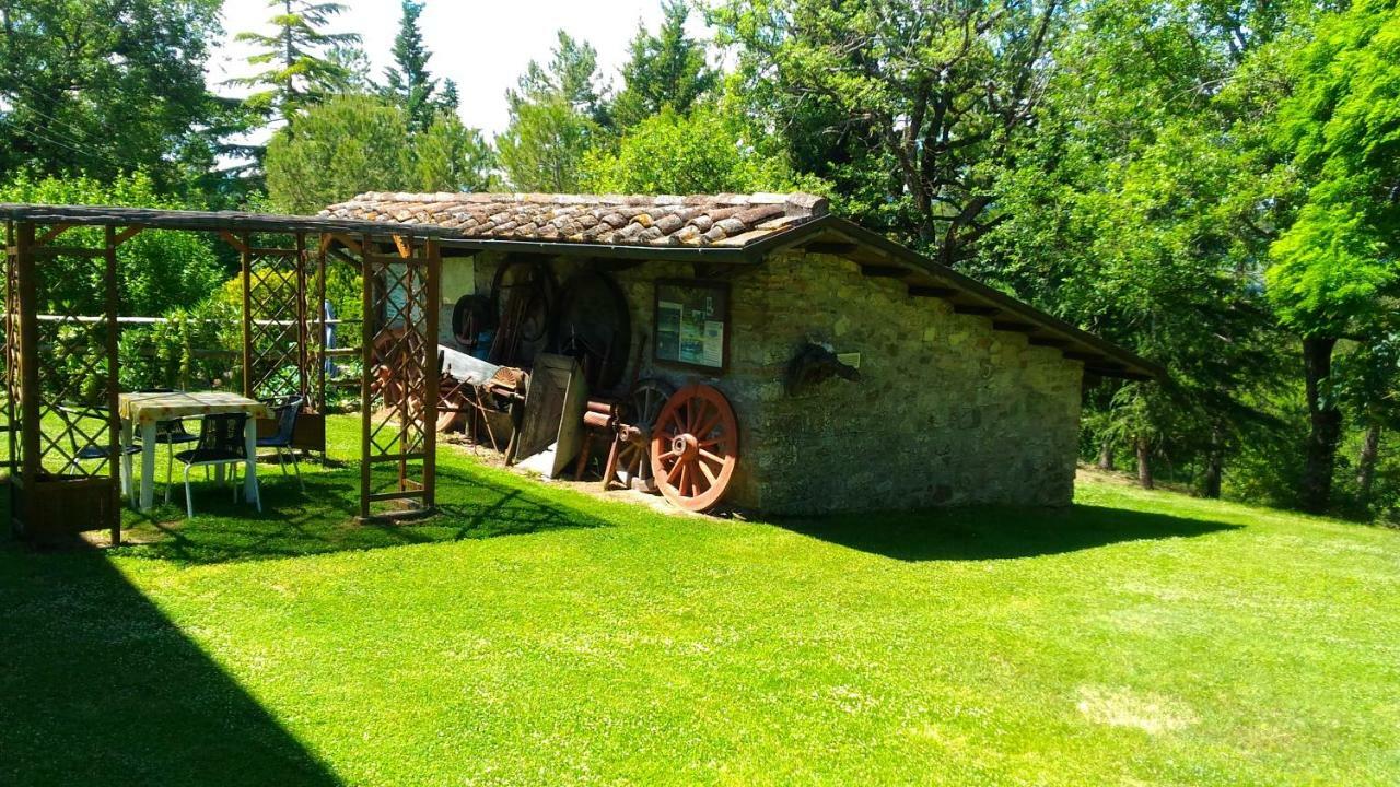 Agriturismo Calcinaia Sul Lago Willa Sansepolcro Zewnętrze zdjęcie