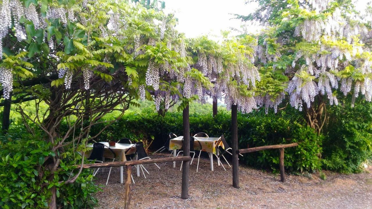 Agriturismo Calcinaia Sul Lago Willa Sansepolcro Zewnętrze zdjęcie